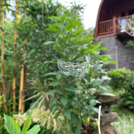 Sugita Wooden House