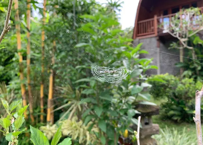 ゲストハウス Sugita Wooden House